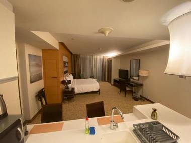 Large Studio Address Dubai Mall City View