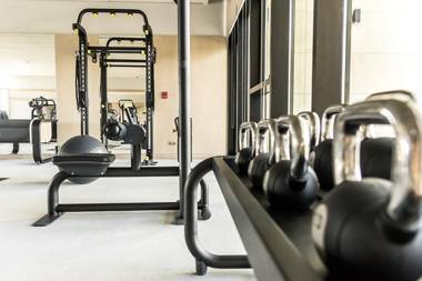 Luxurious 3 Bedroom Apartment in Boulevard Point