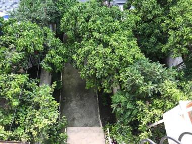 Nina Guest House