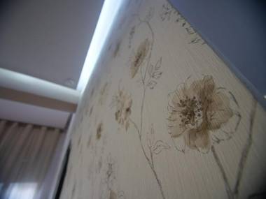 Hidden Gem In the Center Of Tirana