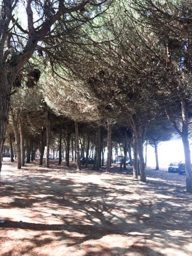 PROMO 15 EUR per night if you stay over 20 nights at HBS from october to april