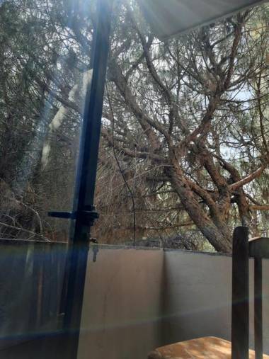 Pine Apartment near the Beach Mali Robit Golem