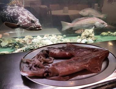 Aragosta Hotel & Restaurant