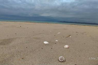 Welcome Beach Apartment