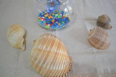 Kela's SEASHELL Art Decor Studio