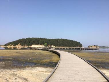 Mira &Roel 1 nr 88 Vlore