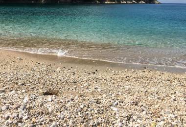 Apartments Wonderful bay