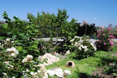 Olympia Garden Hotel