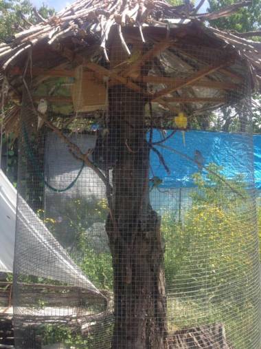 Family Summer House On Cityline