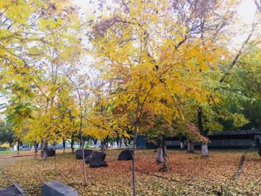 Karson Guest House and Tours