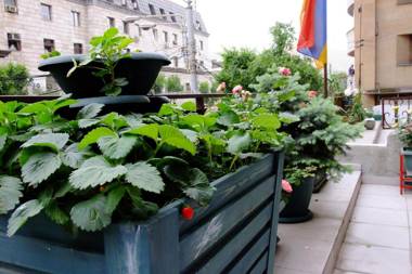 Yerevan center apartment 5A