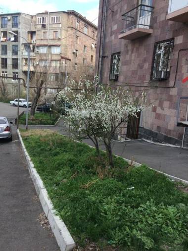 Apartment in the center of Yerevan