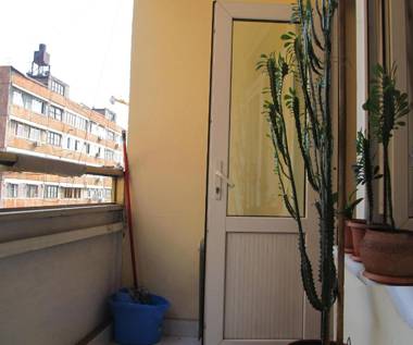 #SARYAN#WINE STREET#OLD CITY