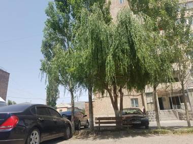 Dream House & Hostel