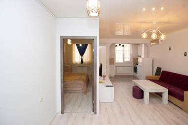 Excellent apartment in the Republic Square.Pushkin3