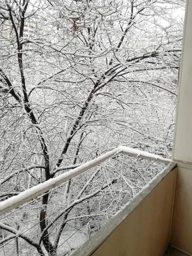 Your lovely stay in Yerevan Komitas 30