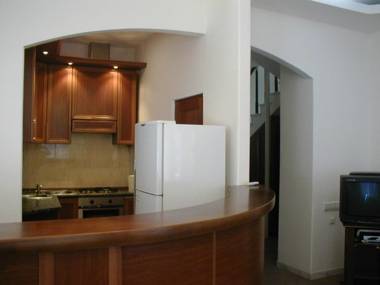 Penthouse in the City center with BBQ terrace