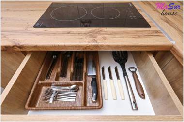 Masur House and Tours