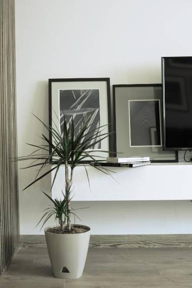 Exclusive Design - of Boulvard - Self Check-In