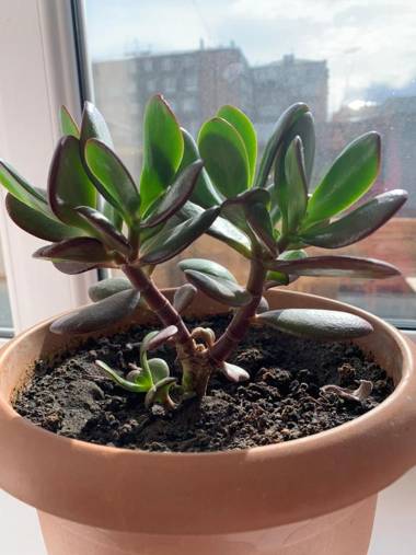 Room in Lake Sevan Hostel