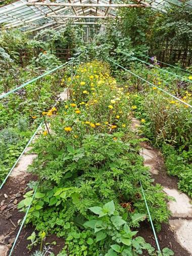 Jermatun Guest House