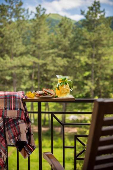 Sochut Resort Stepanavan