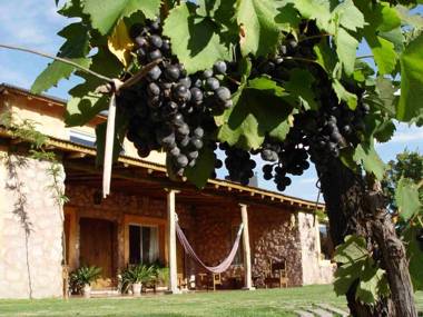 Finca Adalgisa