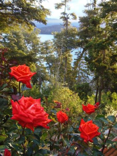 La Torre de la Cascada