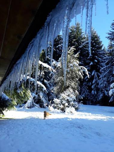 Cabaña La Cumeleña