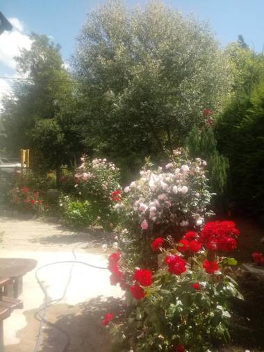 Las Rosas Bed&breakfast