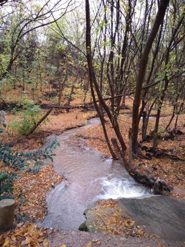 Cabañas Dulce Atardecer