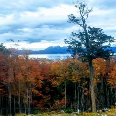 Cálida casa en el fin del mundo