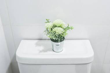 Gente del sur Hol Hol