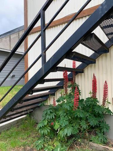 Aunaisin-Paz Centro-Vintage