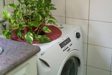 Happy Guest Apart 17