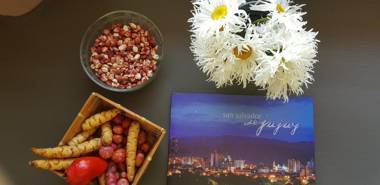 CASA MARGARITA P1 monoambiente