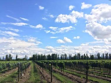 Finca El Maitén. Posada Boutique