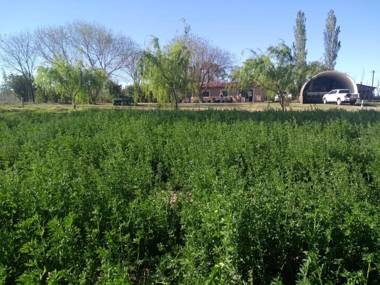 Casa Rural La Colmena