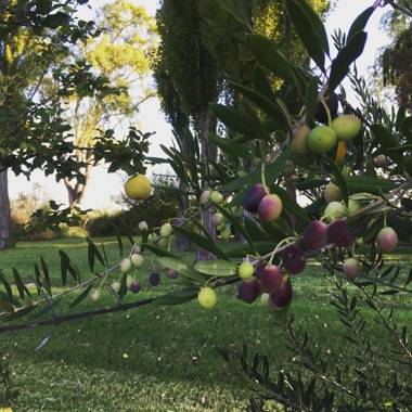 Finca La Escondida San Rafael