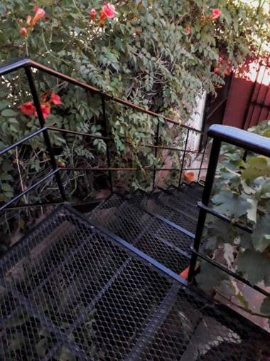 Departamento Los Sauces