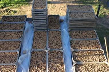 cabaña Claro de Luz en finca Margarita