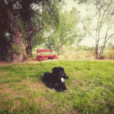 Cabañas Viento Andino