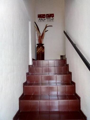 Apartments Renta Eva 1