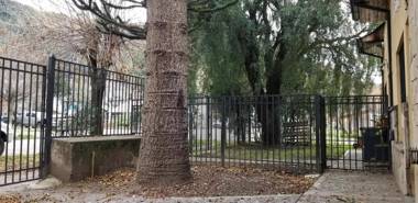 Caballería de los Andes