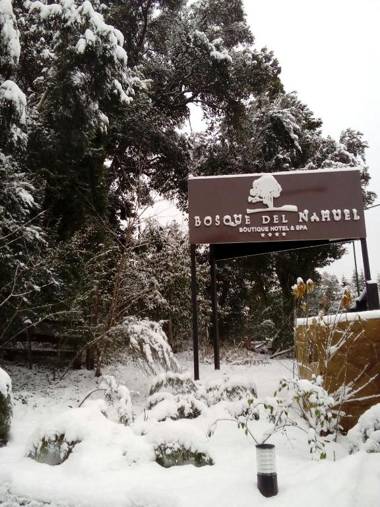 Boutique Hotel & Spa Bosque del Nahuel
