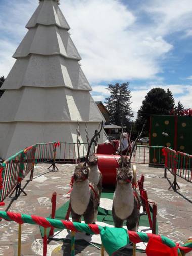 Cabañas Detras del Ciprés