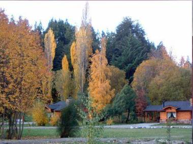 Cabañas En el Corazón del Bosque