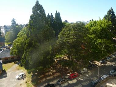 Nothofagus apartment