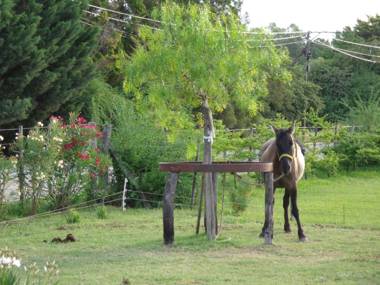 El Sendero - Güiraldes B&B