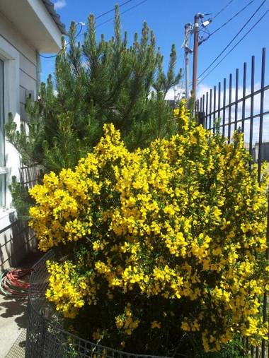 LA CASA DE LAS RETAMAS